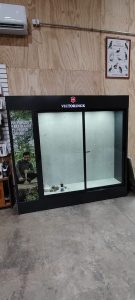 WhatsApp Image 2025-09-11 at 10.07.34 AM